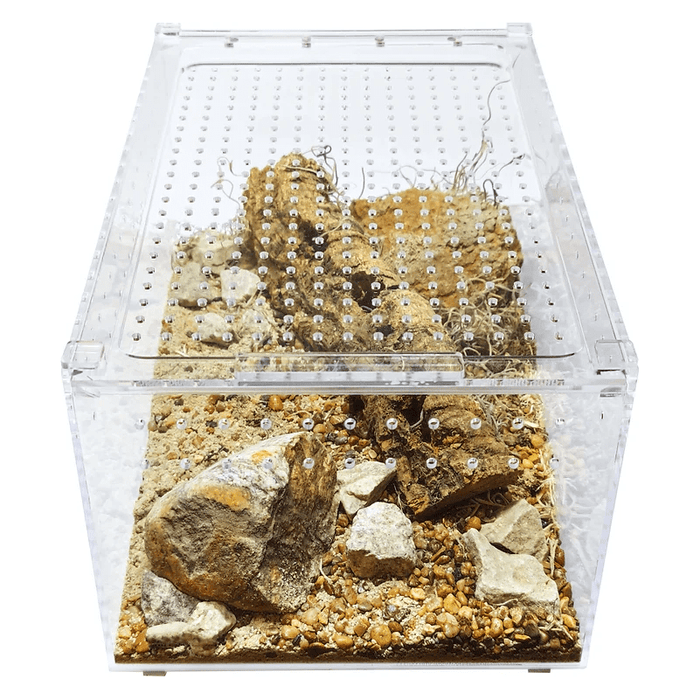 YKL25A HerpCult Large Flat Acrylic Enclosure with Magnetic Lid for Reptiles 12" x 8" x 6":Jungle Bob's Reptile World