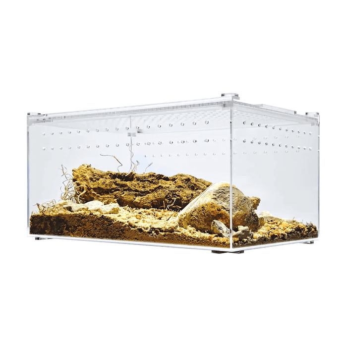 YKL25A HerpCult Large Flat Acrylic Enclosure with Magnetic Lid for Reptiles 12" x 8" x 6":Jungle Bob's Reptile World