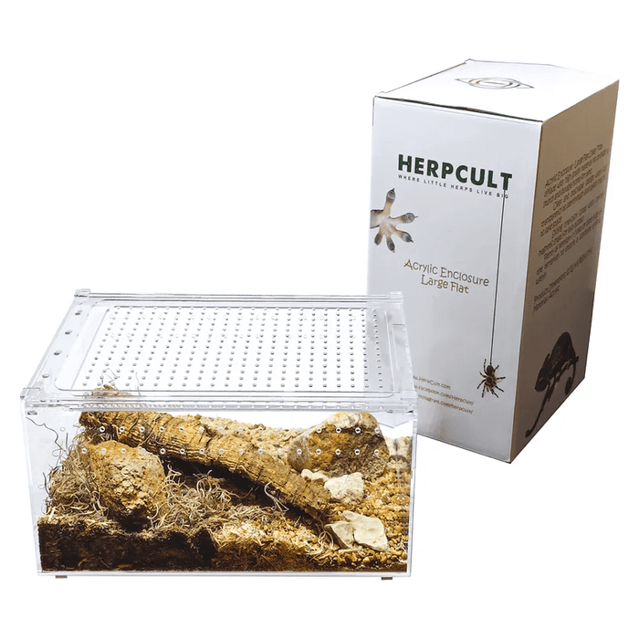 YKL25A HerpCult Large Flat Acrylic Enclosure with Magnetic Lid for Reptiles 12" x 8" x 6":Jungle Bob's Reptile World