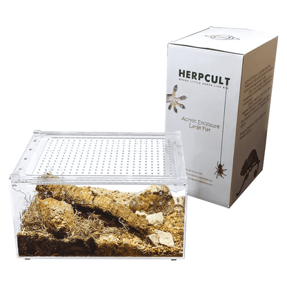YKL25A HerpCult Large Flat Acrylic Enclosure with Magnetic Lid for Reptiles 12" x 8" x 6":Jungle Bob's Reptile World