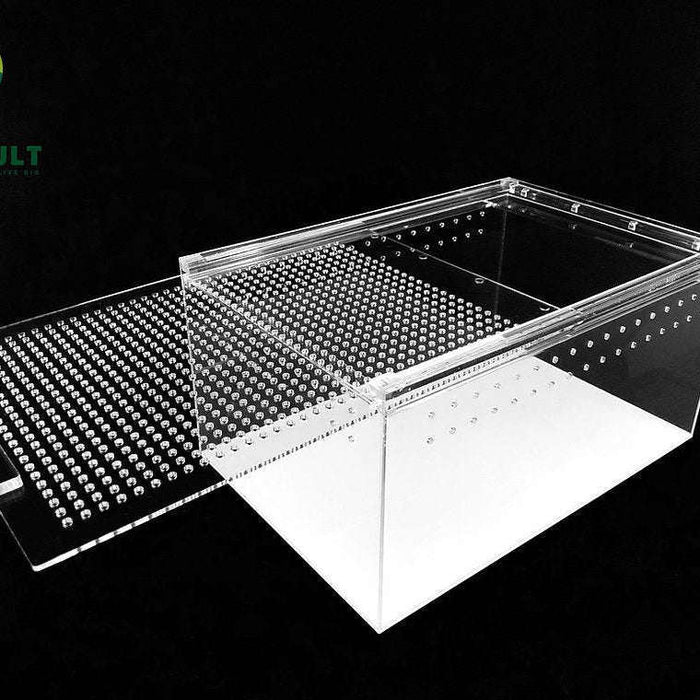 YKL 25A Herp Cult Large Flat Acrylic Enclosure with Magnetic Lid for Reptiles (12" x 8" x 6"):Jungle Bob's Reptile World