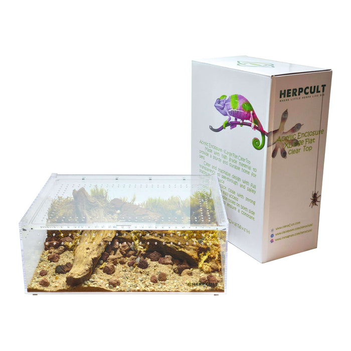 YKL40B HerpCult Acrylic Reptile Enclosure with Magnetic Lid Clear Top Extra Large Flat (12" x 16" x 6"):Jungle Bob's Reptile World