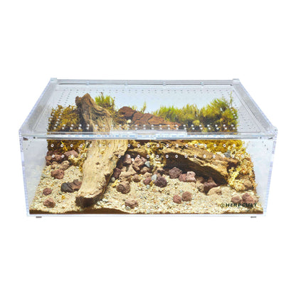 YKL40B HerpCult Acrylic Reptile Enclosure with Magnetic Lid Clear Top Extra Large Flat (12" x 16" x 6"):Jungle Bob's Reptile World